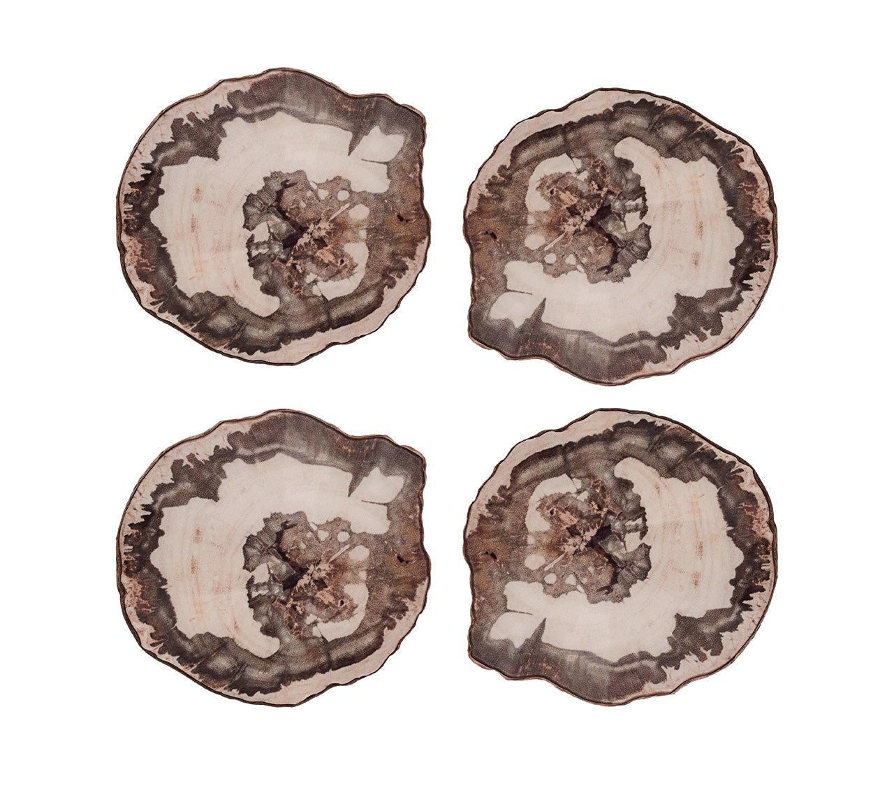 Petrified Wood Drink Coasters in Multi in a Gift Box | Kim Seybert