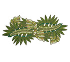 Calypso Runner in Green & Gold