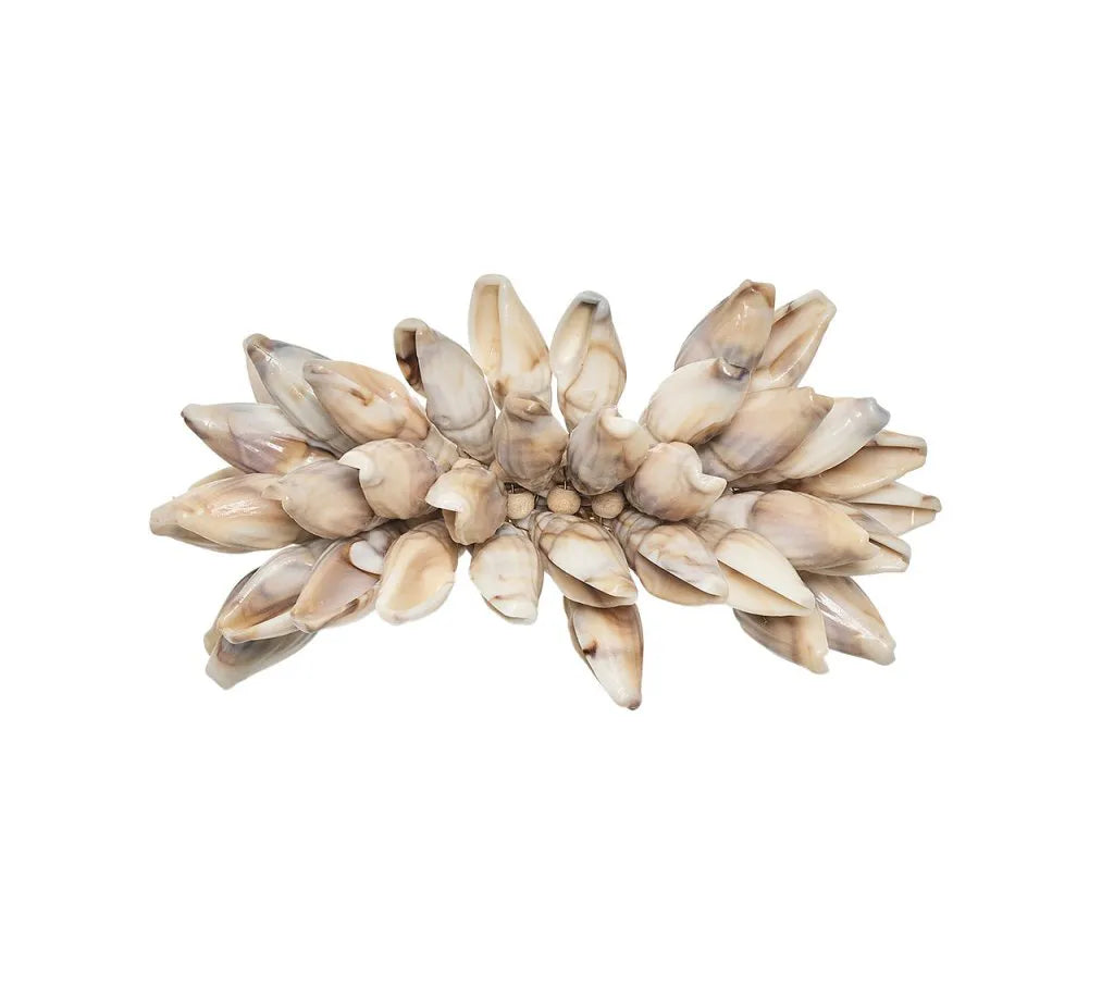 Shell Fringe Napkin Ring in Ivory & Brown, Set of 4