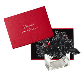 Kim Seybert Luxury Zénith Napkin Rings in Black in a Gift Box
