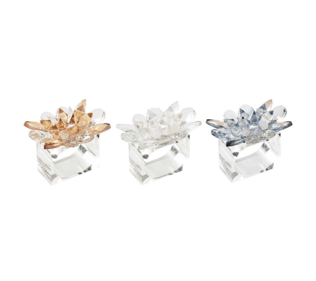 Spectra Napkin Rings, Set of 4 in a Gift Box