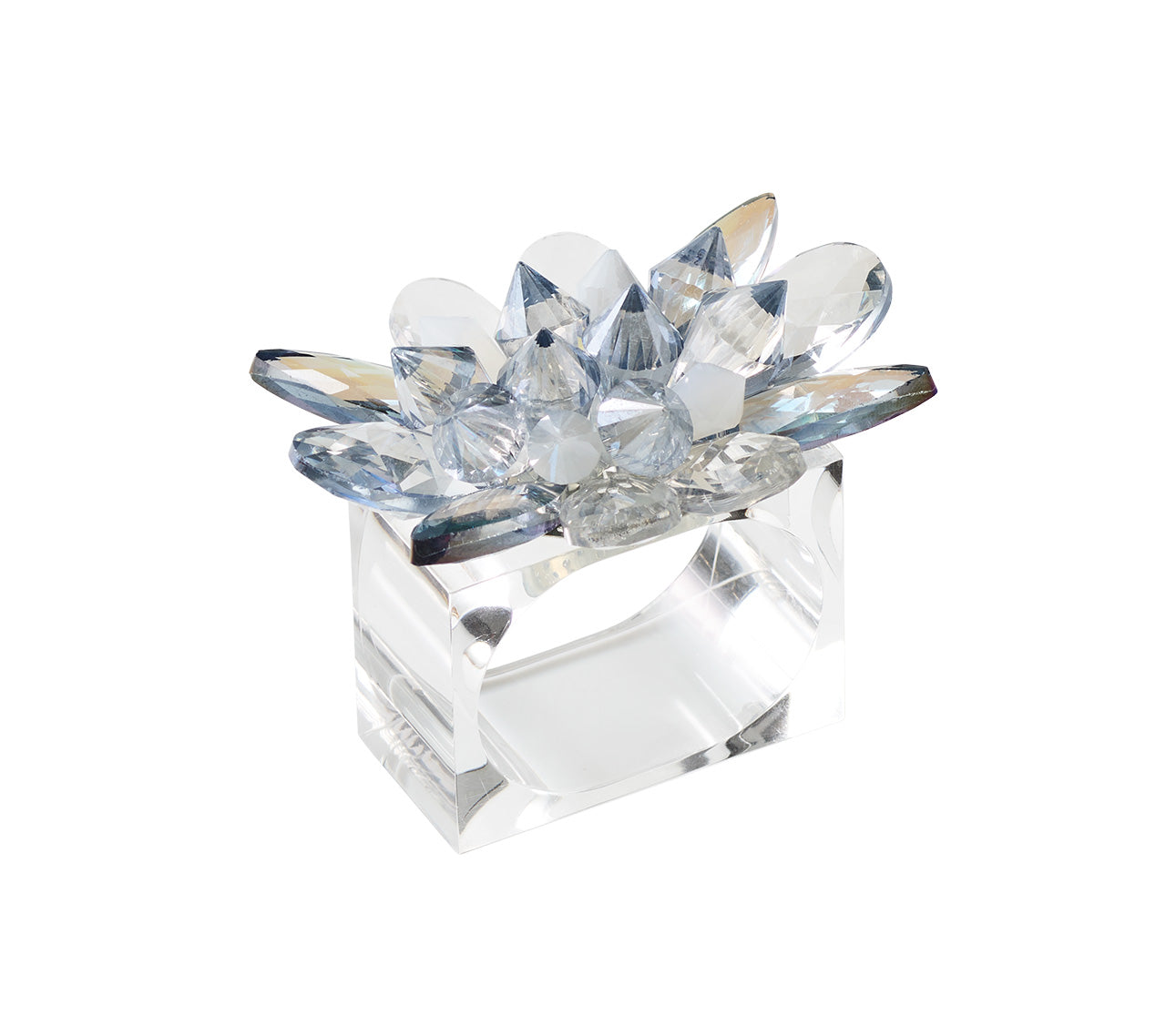 Spectra Napkin Rings, Set of 4 in a Gift Box