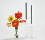 Tess Bud Vase in Clear, Set of 3 in a Box