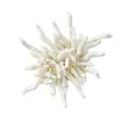 Amalfi Napkin Ring in White, Set of 4 in a Gift Box