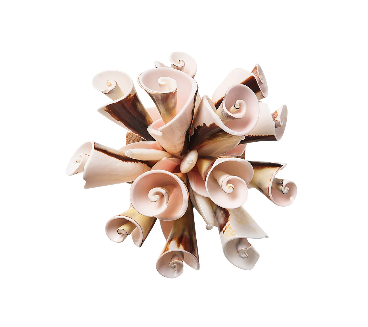 Kim Seybert Luxury Seashell Burst Napkin Ring in Ivory & Natural