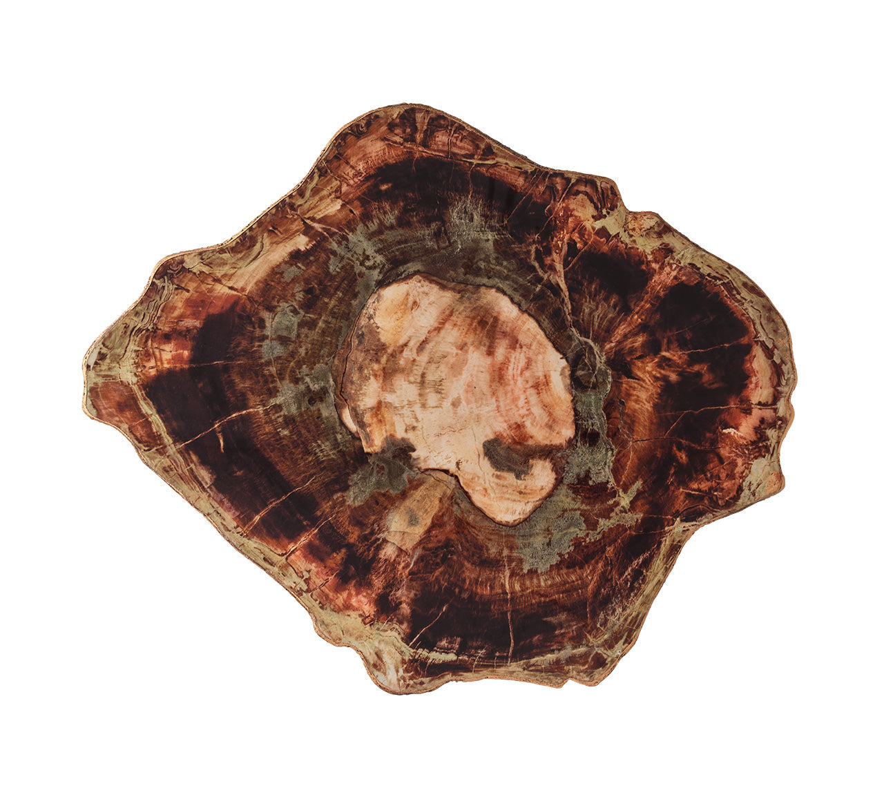 Fossil Placemat in Brown & Multi | Kim Seybert