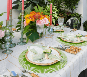 Dream Weaver Placemat in Green & White, Set of 4