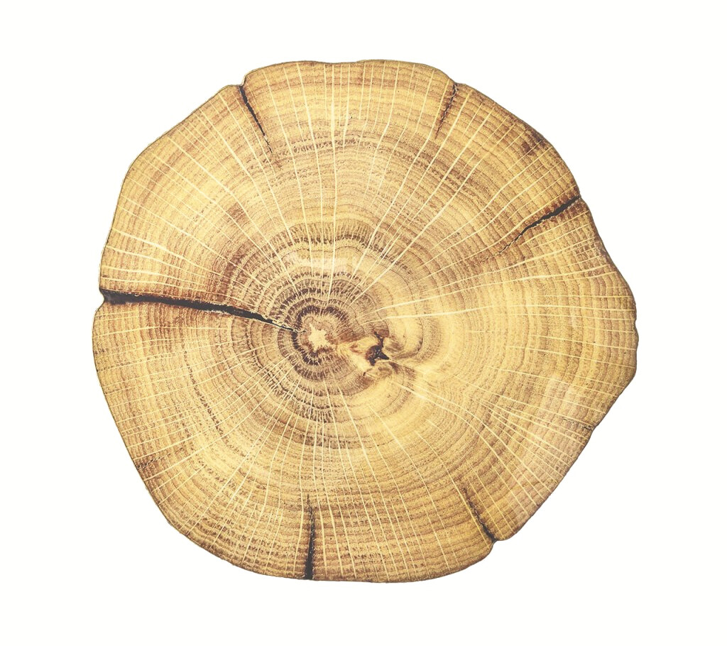 Woodland Placemat in Natural & Brown, Set of 4