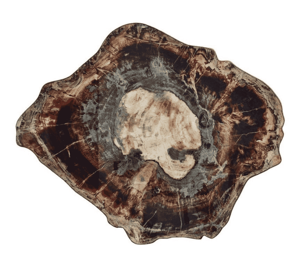 Fossil Placemat in Brown & Multi | Kim Seybert