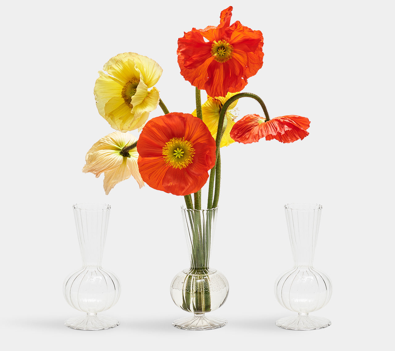 Kim Seybert Luxury Tess Bud Vase in Clear, Set of 3 in a Box