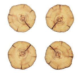 Set of four Woodland Drink Coasters that look like a sliced piece of wood with rings showing