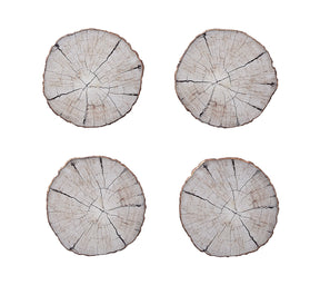 Birch Coasters in Ivory & Natural, Set of 4 in a Gift Box
