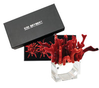 Kim Seybert Luxury Amalfi Napkin Ring in Coral in a Gift Box