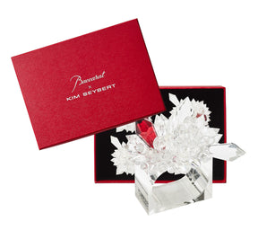 Kim Seybert Luxury Zénith Napkin Rings in Crystal in a Gift Box